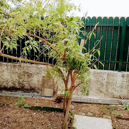 Casa Dos Quatro Irmaos Lägenhet