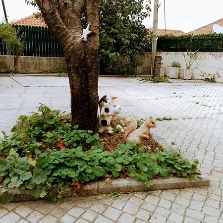 Casa Dos Quatro Irmaos Apartamento