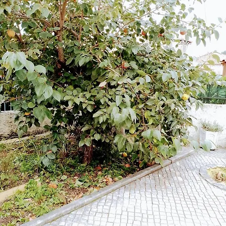 公寓 Casa Dos Quatro Irmaos *
