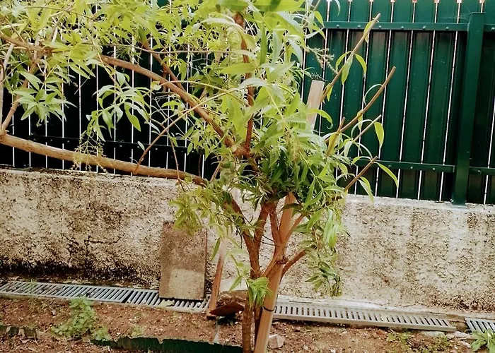 Casa Dos Quatro Irmaos شقة