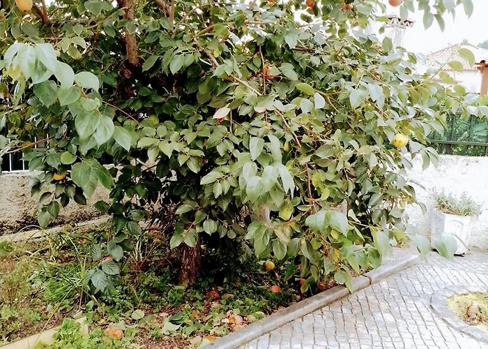 شقة Casa Dos Quatro Irmaos *